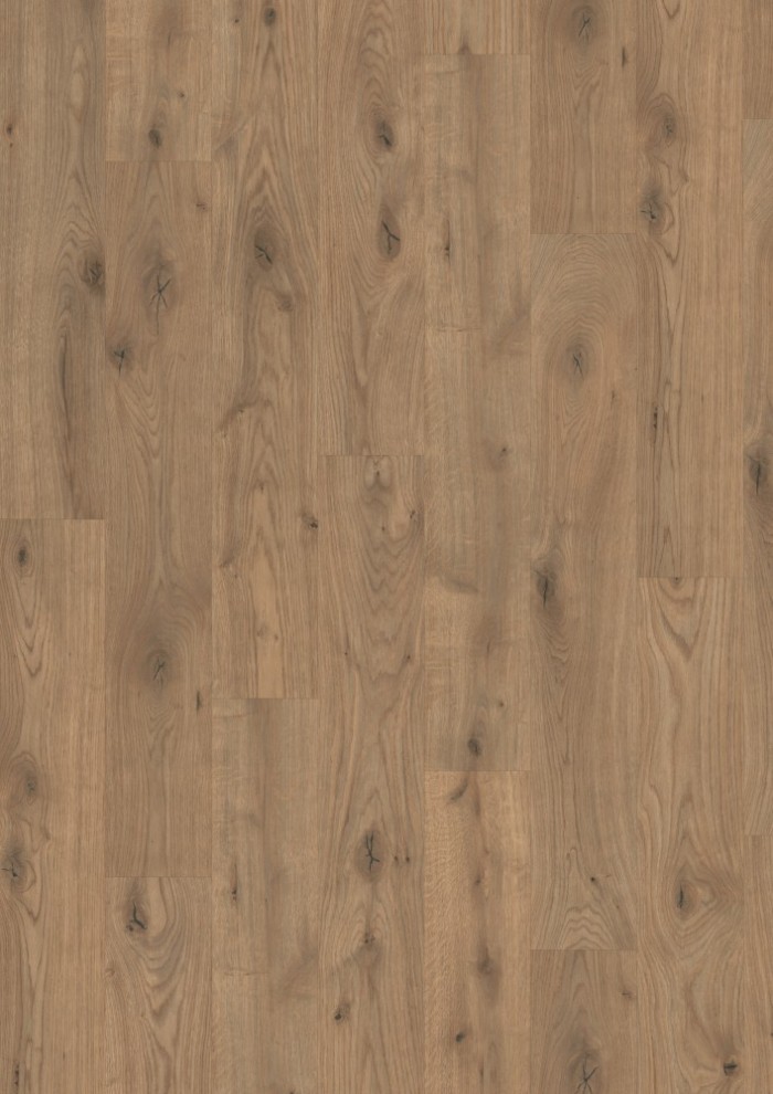 Dub Almington prírodný