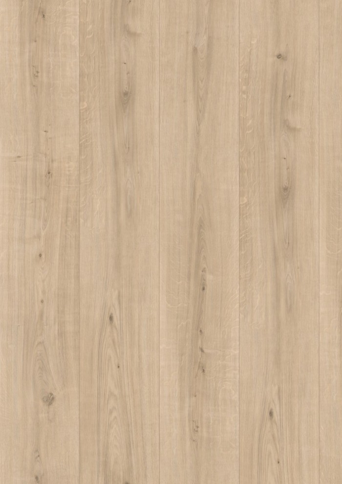 Dub Ortega prírodný