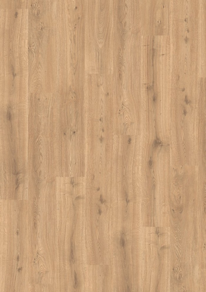 Dub Predaia prírodný