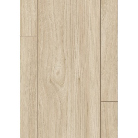 Akácia Sheffield svetlá